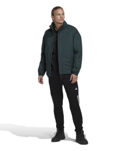 Tout neuf 🎁 Randonnee Pedestre Homme Adidas Veste Imperméable Isolée Adidas Terrex Ct Myshelter VERT ⭐ -THE NORTH FACE Shop 0878faa2d11246aaaf764ed6d6f0d08d